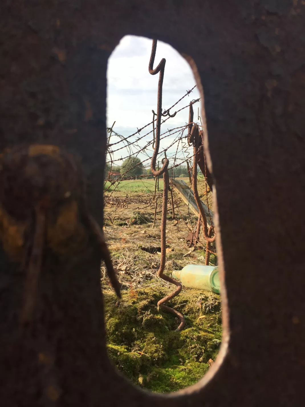 WWI Battlefields Trip