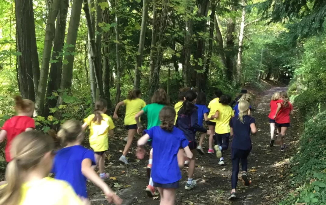 Muddy conditions no obstacle for cross country runners