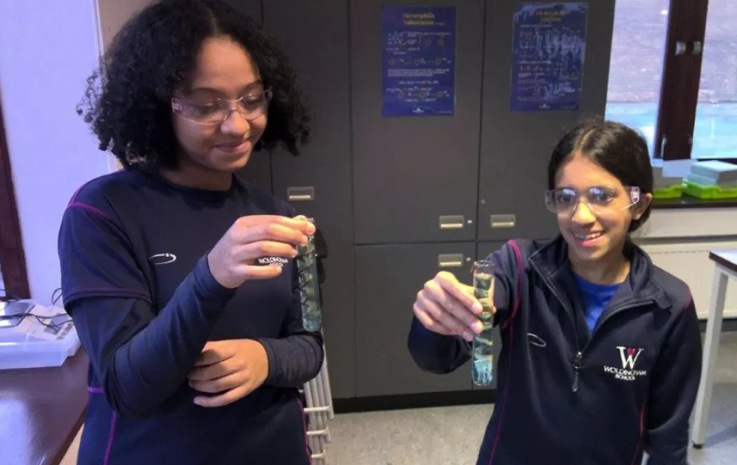 British Science Week celebrated with crystal creations, swab samples and marshmallow monuments