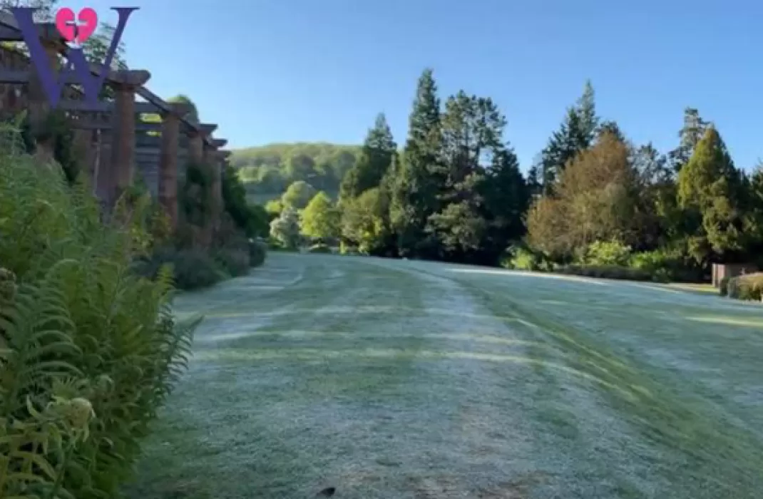 Gardeners’ Wold Episode 3: Tumbling tomatoes and a frost in May