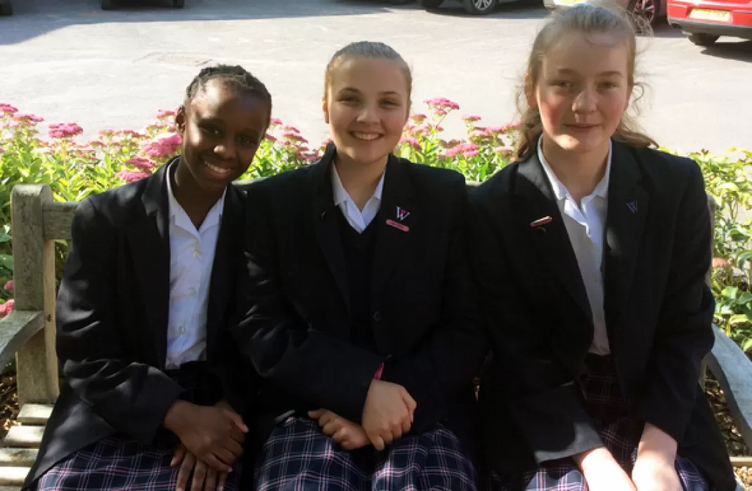 Mathematical golds in Junior Challenge