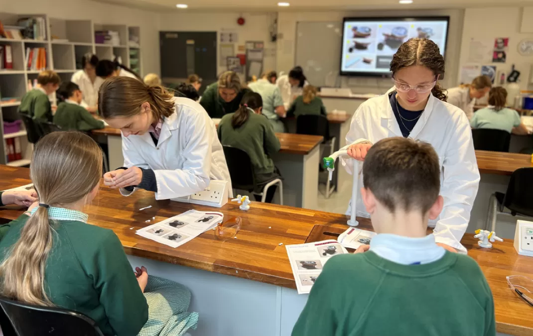 Sixth Form STEM Society inspires the next generation