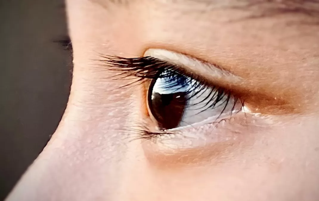 Eye-catching close ups in week 4 of #PhotographersWold