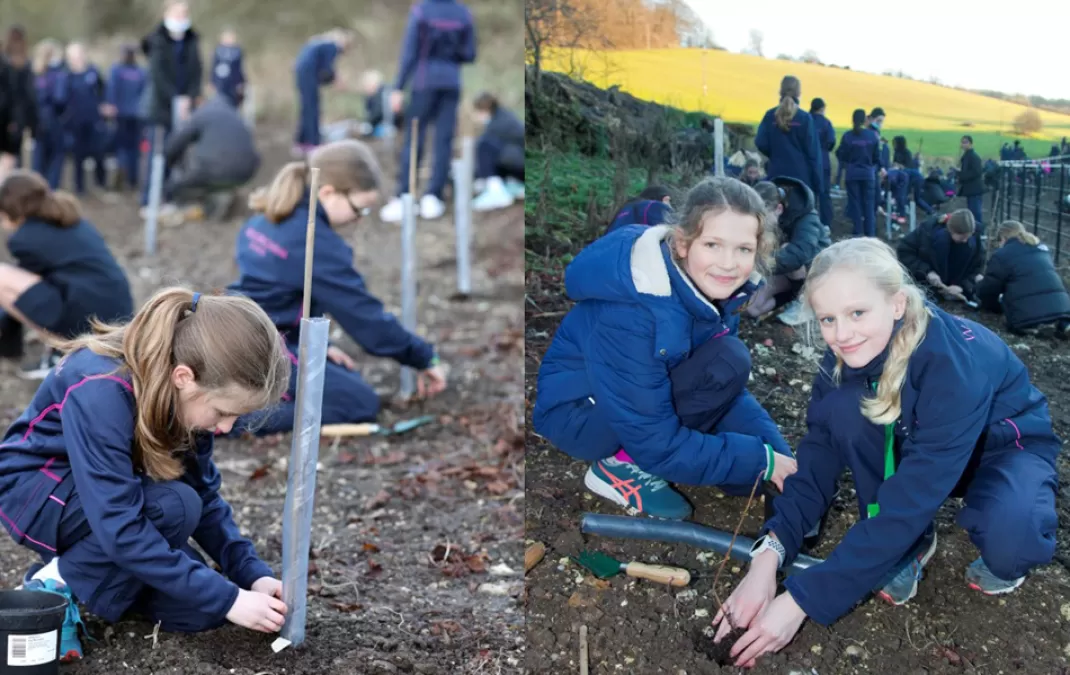 Year 7s look forward to seeing newly-planted trees grow