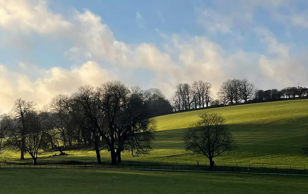 View from the valley – the ones that got away