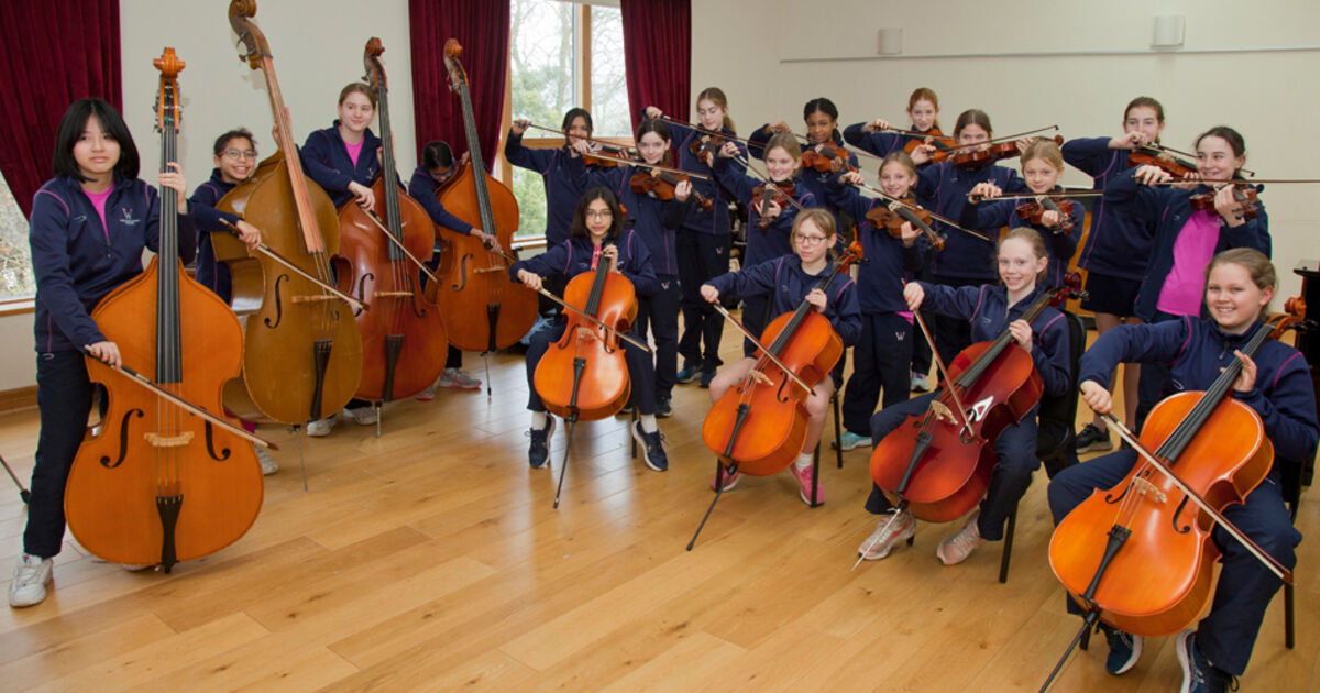 Strings Project gives all Year 7s the chance to try a new stringed ...