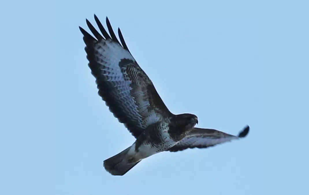 A bird’s eye view from the valley
