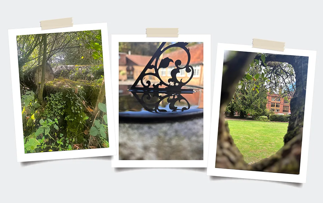Photography workshop in school grounds kicks off Year 9 artists&rsquo; Landscapes Project